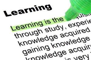 What is Evaluative Learning?